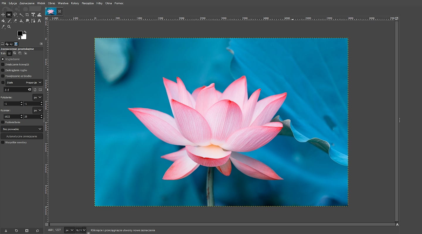 GIMP – najważniejsze funkcje i poradnik dla początkujących